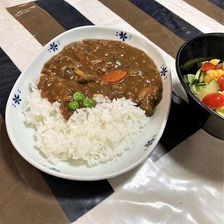有田焼 いちごのお皿 オーバルプレート カレー皿 徳七窯 一珍 1枚